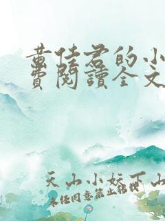 黄佳君的小说免费阅读全文