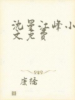 沈曼江峰小说全文免费