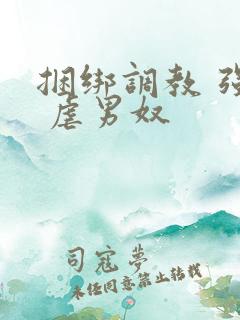 捆绑调教 强制 虐男奴