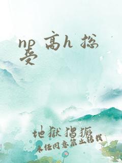 np 高h 总受