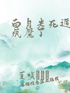 白月光死遁后他疯魔了