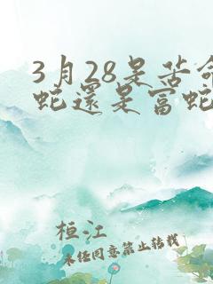 3月28是苦命蛇还是富蛇