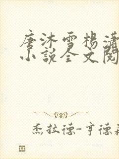 唐沐雪杨潇免费小说全文阅读