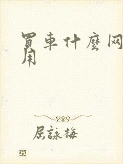 买车什么网站好用