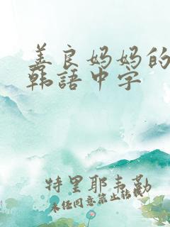 善良妈妈的朋友韩语中字