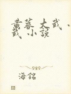 黄蓉 大武 小武 小说