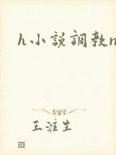 h小说调教np