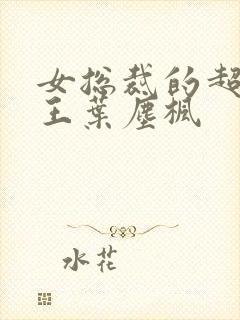 女总裁的超级兵王叶尘枫