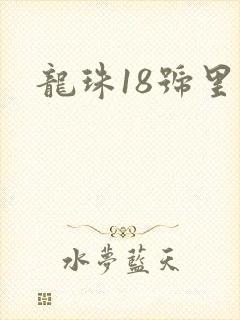 龙珠18号里番