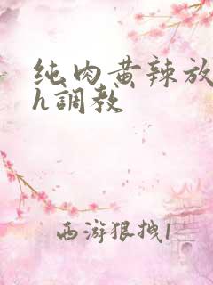 纯肉黄辣放荡高h调教