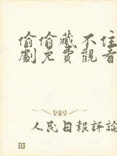 偷偷藏不住电视剧免费观看免费