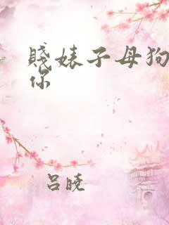 贱婊子母狗操死你