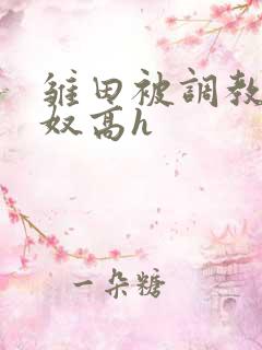 雏田被调教成肉奴高h