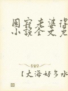 团宠老婆得宠着小说全文免费阅读