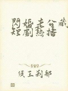 闪婚老公藏不住短剧热播