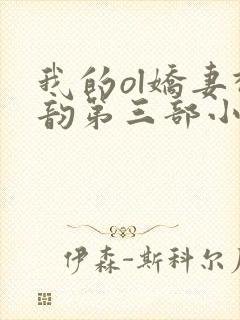 我的ol娇妻柳韵第三部小说