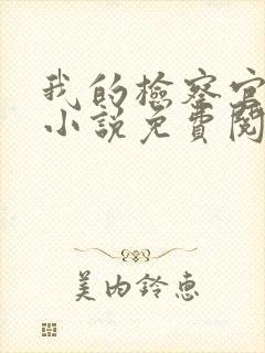 我的检察官先生小说免费阅读