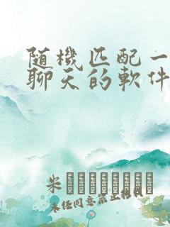 随机匹配一对一聊天的软件