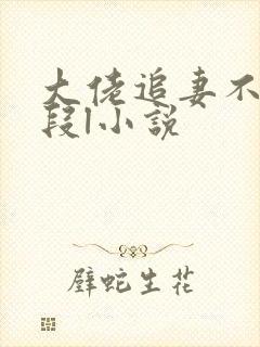 大佬追妻不择手段l小说