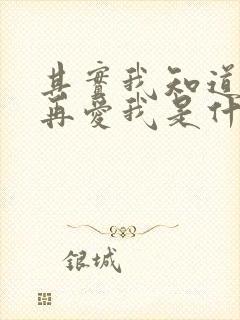 其实我知道你不再爱我是什么歌