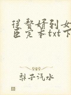 从赘婿到女帝宠臣完本txt下载