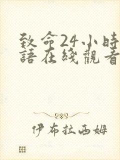 致命24小时国语在线观看高清