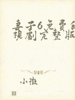 妻子6免费的电视剧完整版韩剧网