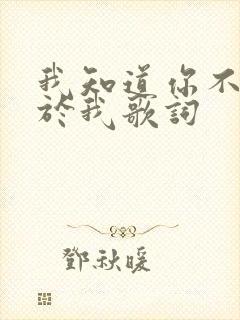 我知道你不再属于我歌词