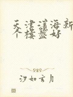 天津滨海新区哪个楼盘好