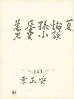 叶辰孙怡夏若雪免费小说