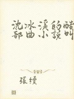 沈冰溪的酷刑三部曲小说叫什么