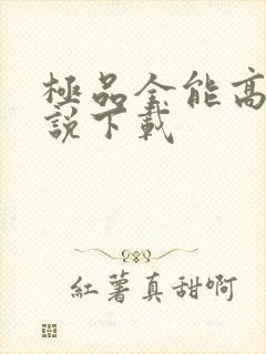 极品全能高手小说下载