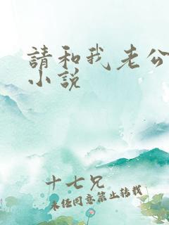 请和我老公结婚小说