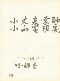 小丈夫袁帅和陆小山电视剧免费观看