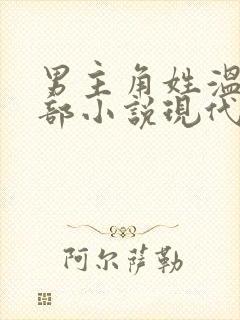 男主角姓温的全部小说现代