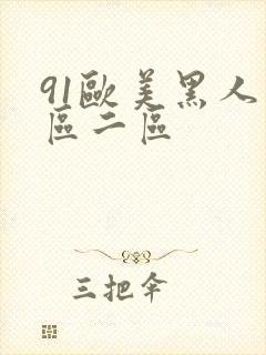 91欧美黑人一区二区