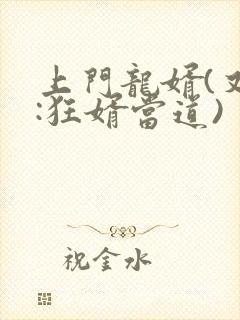 上门龙婿(又名:狂婿当道)