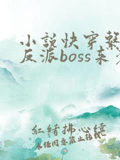 小说快穿系统之反派boss来袭