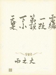 天下第一电视剧是小说改编的吗