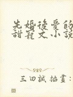 先婚后爱的豪门甜宠文小说