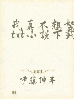 我真不想努力了txt小说下载