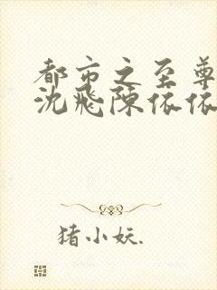 都市之至尊战神沈飞陈依依