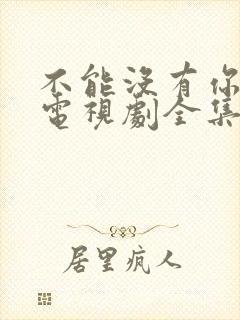 不能没有你韩剧电视剧全集免费播放