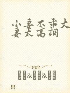 小妻不乖大佬宠妻太高调