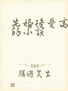 先婚后爱高干文的小说