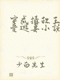 穿成摄政王的侍爱逃妻小说免费阅读