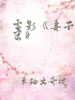 电影《妻子的秘密》