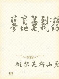 萌宝驾到:总裁爹地是我的