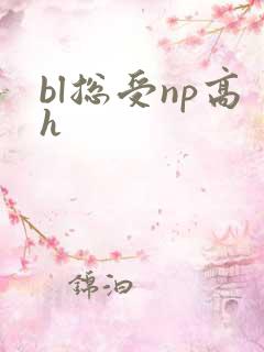 bl总受np高h