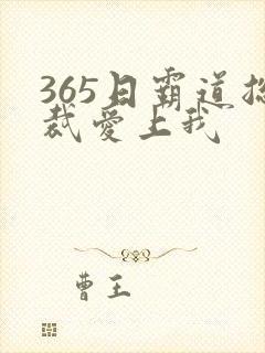 365日霸道总裁爱上我